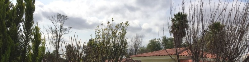 5 BathroomsBathrooms,Casa,En venta,1385