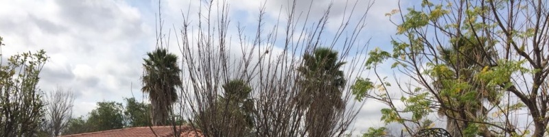 5 BathroomsBathrooms,Casa,En venta,1385