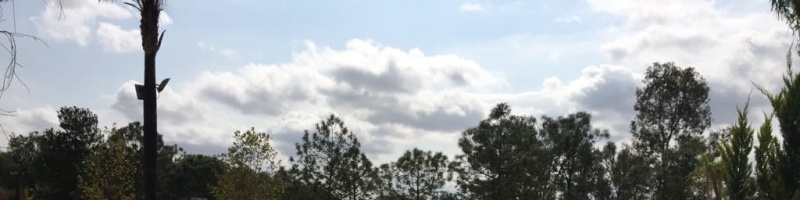 5 BathroomsBathrooms,Casa,En venta,1385