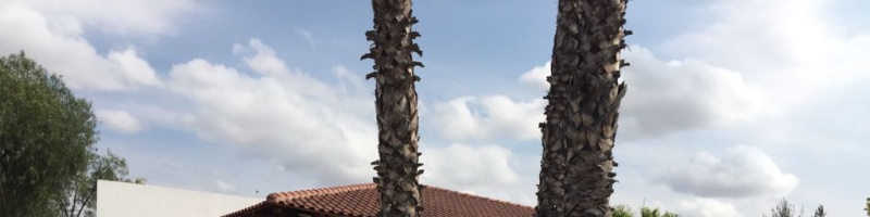 5 BathroomsBathrooms,Casa,En venta,1385