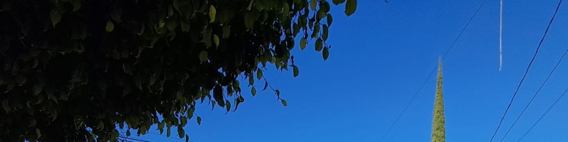 3 Habitaciones Habitaciones, ,4 BathroomsBathrooms,Casa,En venta,1419