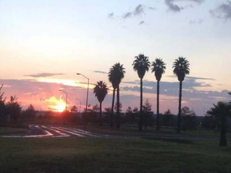 Terreno,En venta,1557