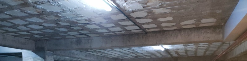 1 Dormitorio Habitaciones, ,1 BañoBathrooms,Departamento,En renta,1591