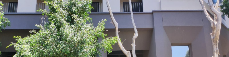 1 Dormitorio Habitaciones, ,1 BañoBathrooms,Departamento,En renta,1591