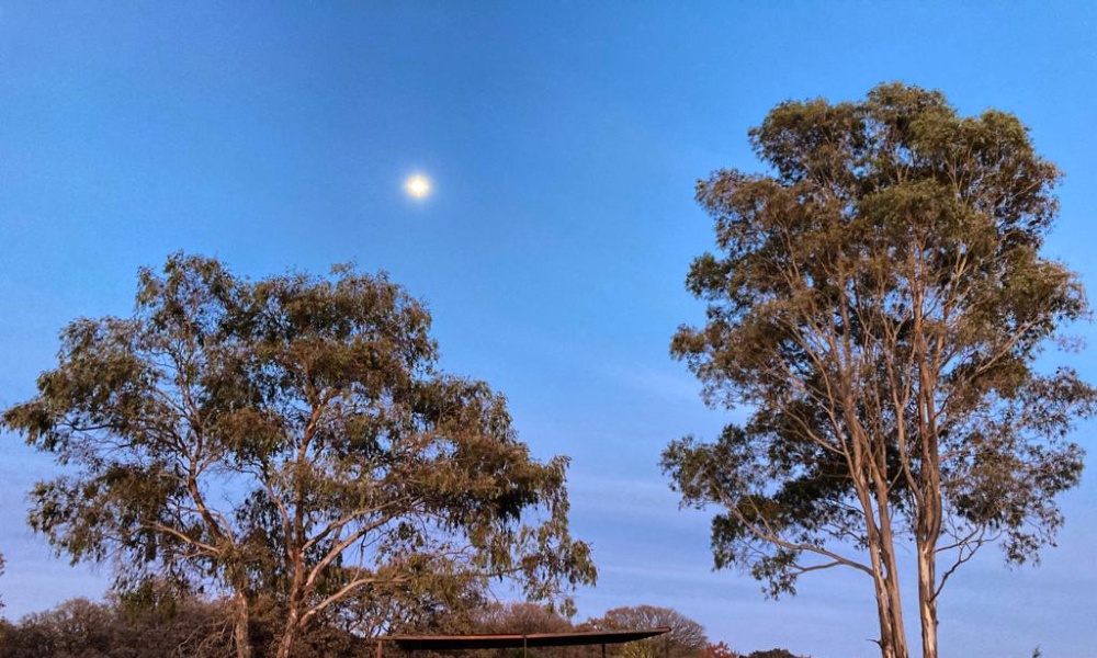 Terreno,En venta,1594