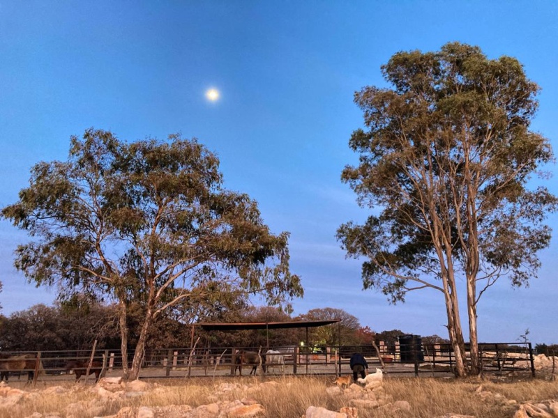 Terreno,En venta,1594