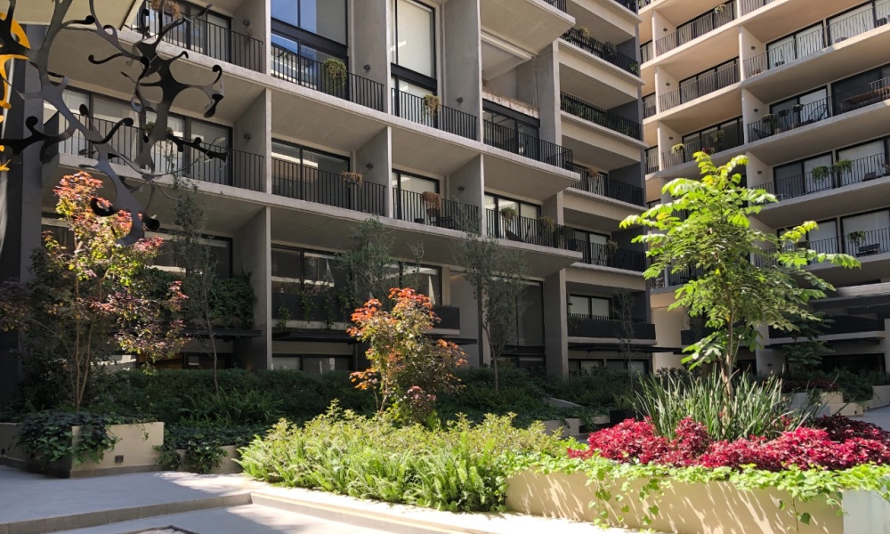 1 Dormitorio Habitaciones, ,2 BathroomsBathrooms,Departamento,En renta,0,1598